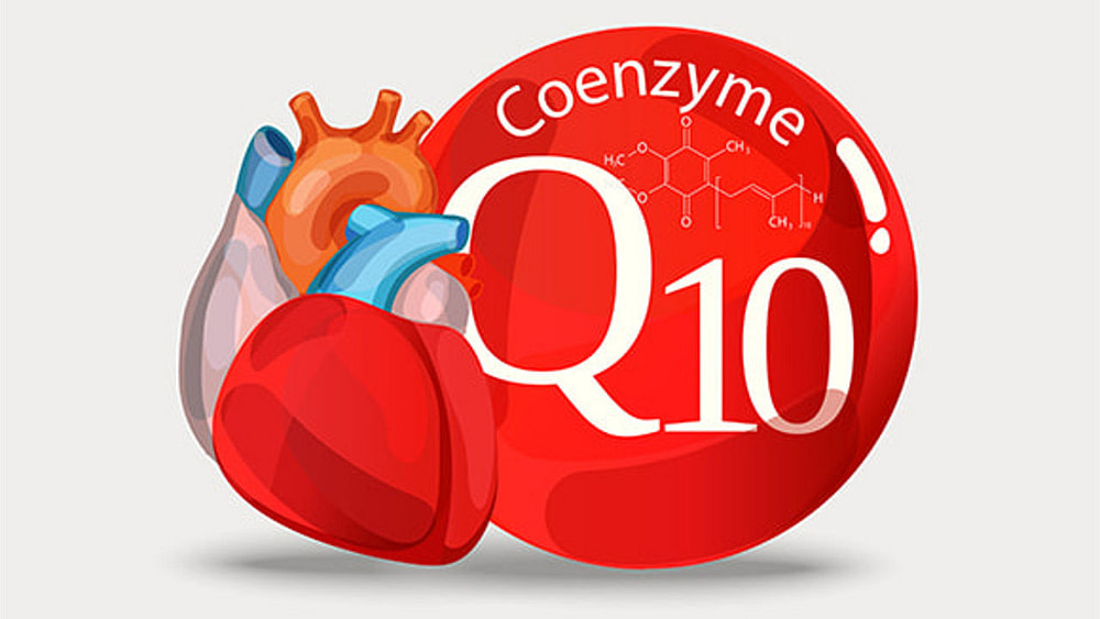 What Does CoQ10 Do