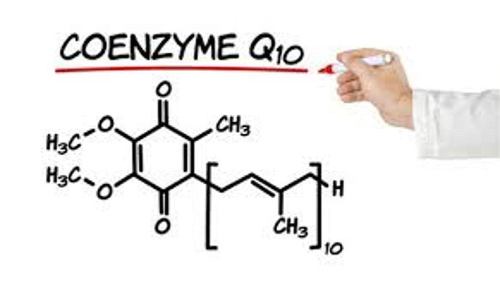 What is Coenzyme