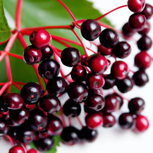 DIY Flavorful Elderberry Liqueur